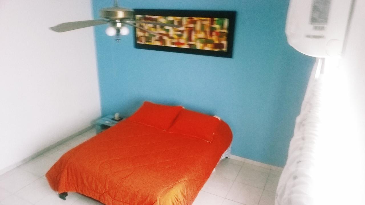 Quillahost Tropical *